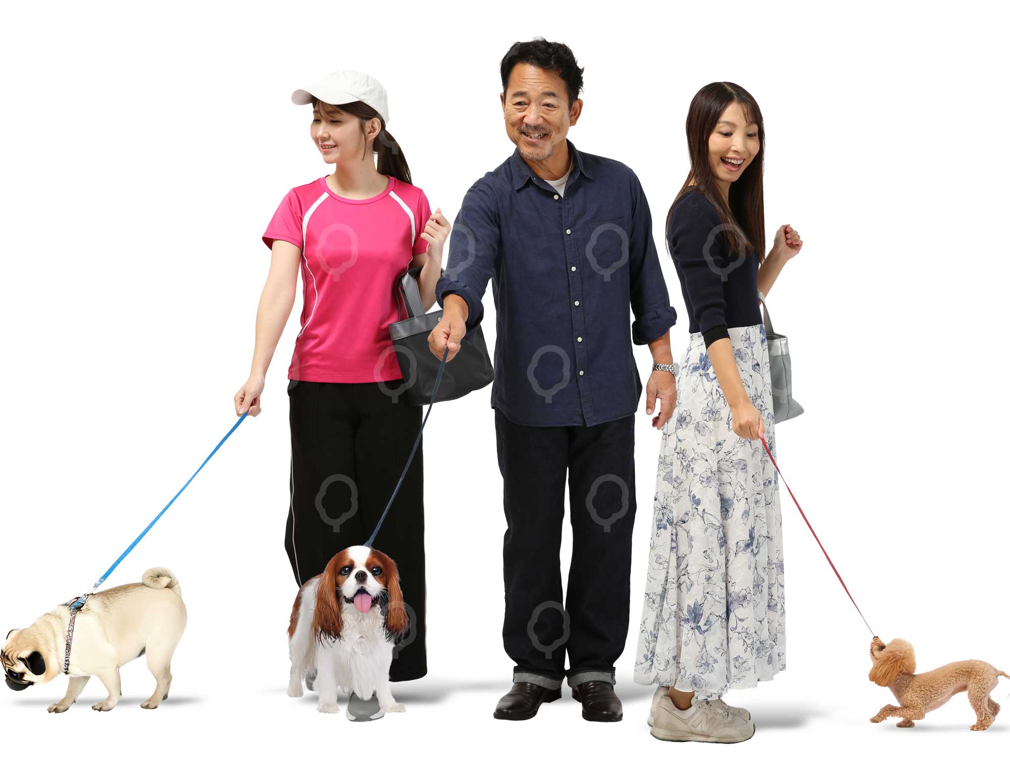 犬の散歩する人物素材