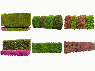 樹木生垣切り抜き素材