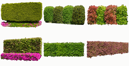 樹木生垣切り抜き素材