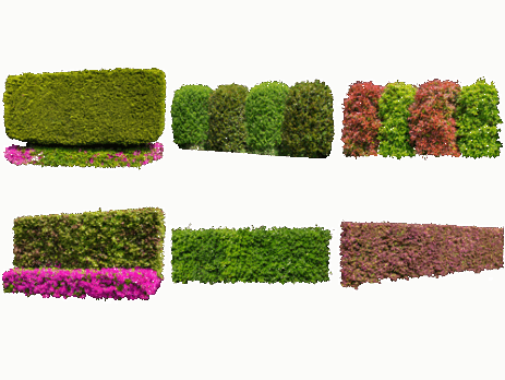 樹木生垣切り抜き素材